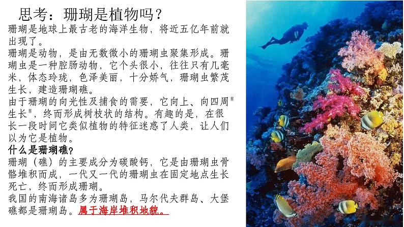 广东省信宜市第二中学2024届高三上学期地理一轮复习课件：23海岸与冰川地貌第3页