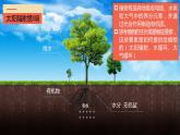 1.2太阳对地球的影响 高中地理人教版课件PPT