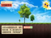 1.2太阳对地球的影响 高中地理人教版课件PPT