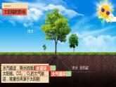1.2太阳对地球的影响 高中地理人教版课件PPT