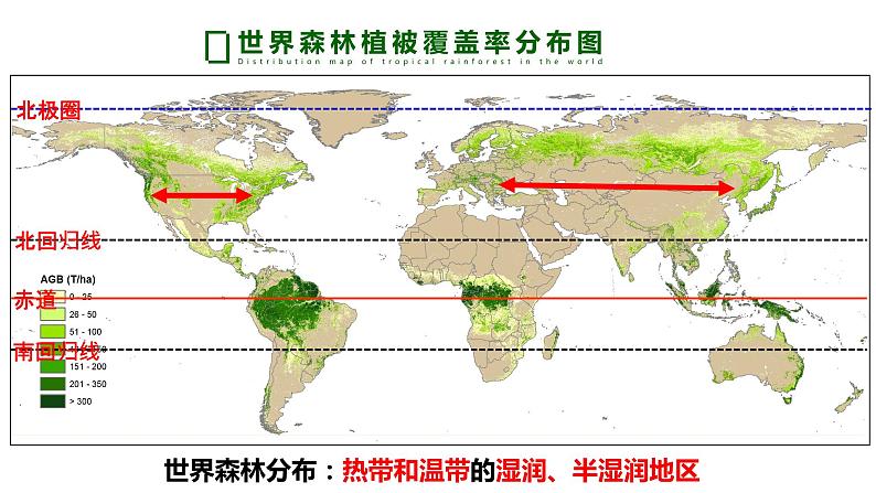 植被 课件 高中地理必修一第7页