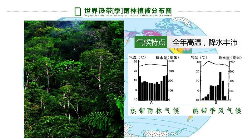 植被 课件 高中地理必修一第8页