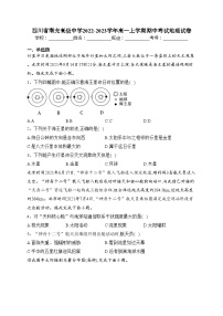 四川省南充高级中学2022-2023学年高一上学期期中考试地理试卷(含答案)