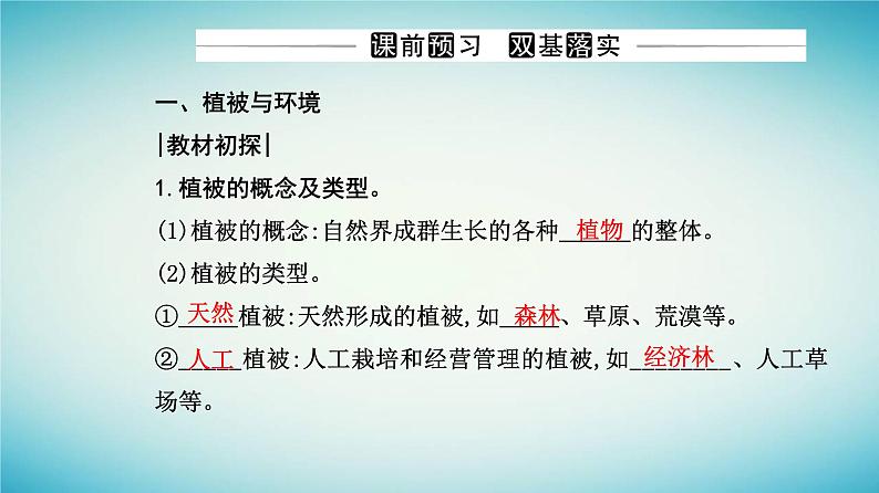 2023_2024学年新教材高中地理第五章植被与土壤第一节植被课件新人教版必修第一册第3页