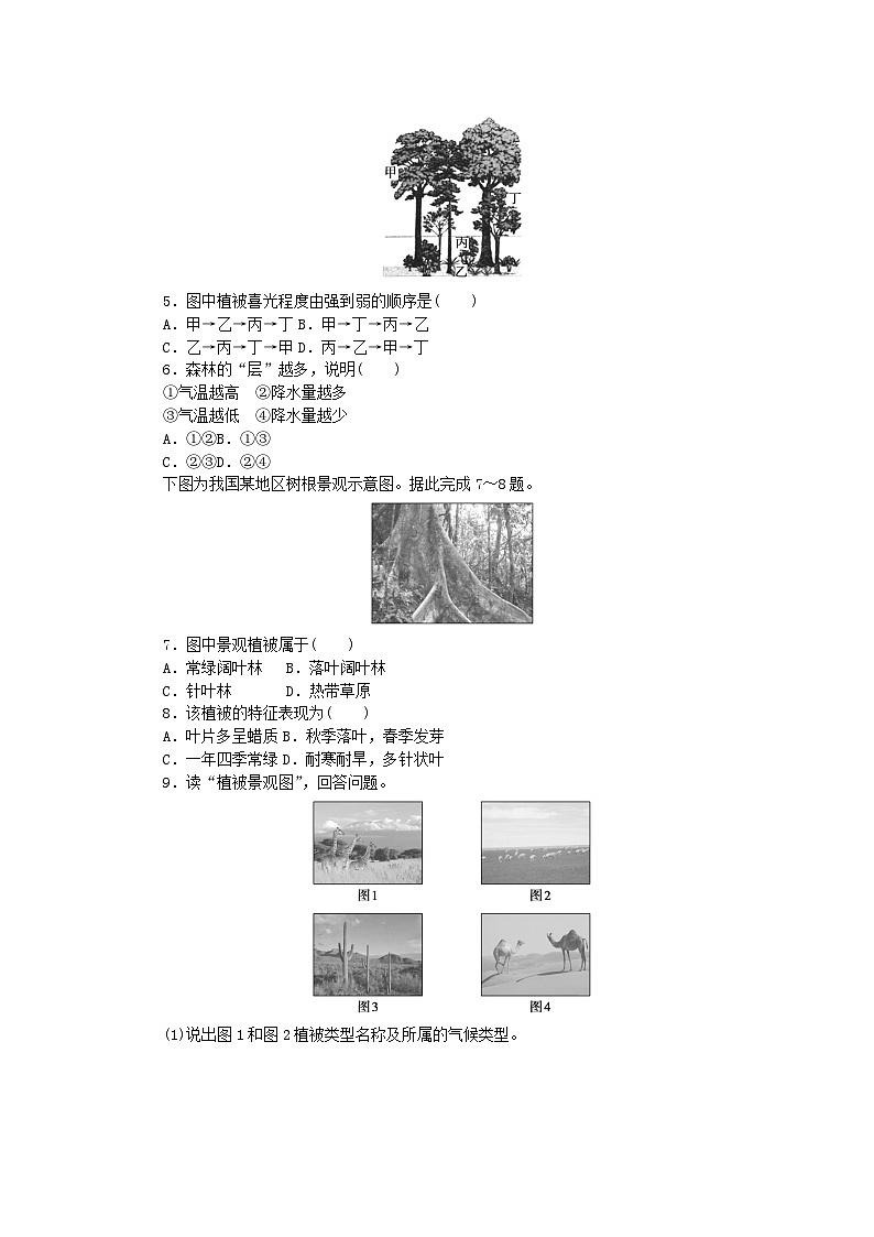 2024版新教材高中地理课时分层作业15植被新人教版必修第一册第2页