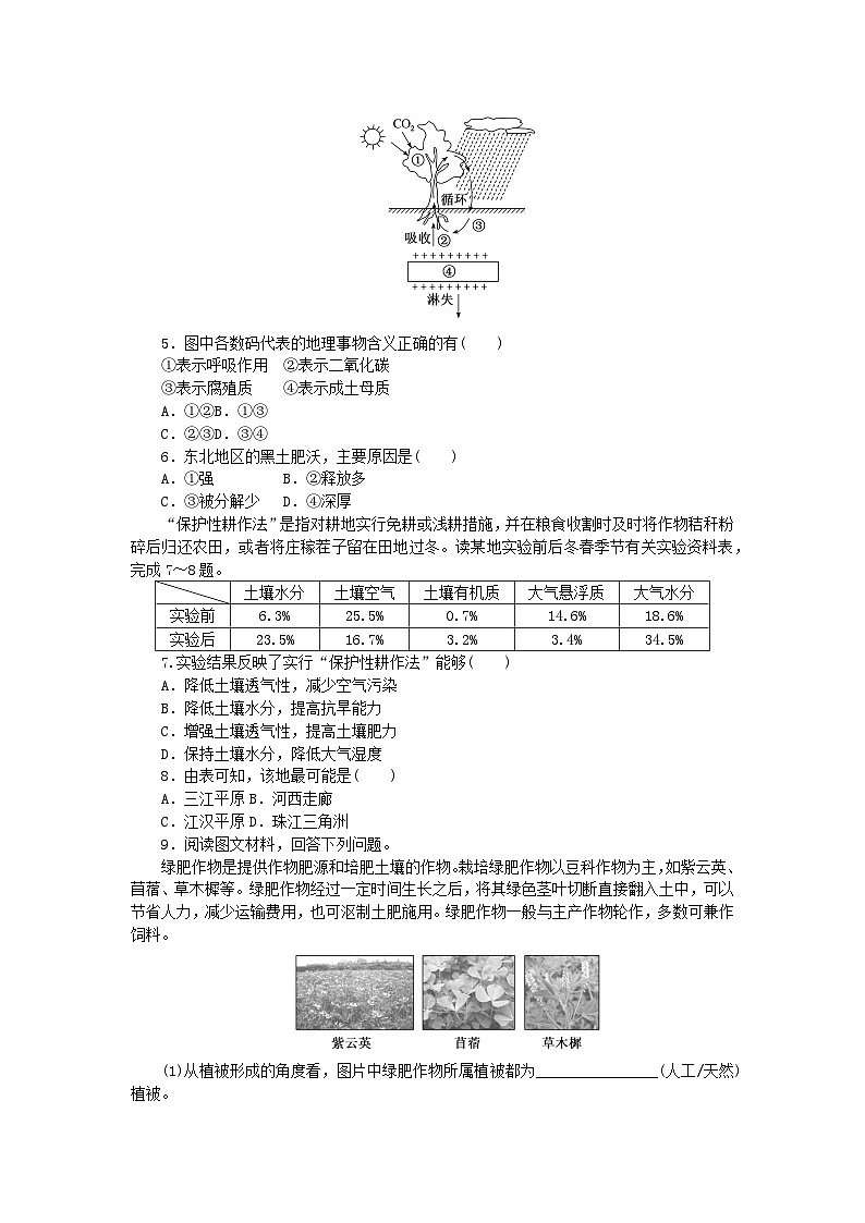 2024版新教材高中地理课时分层作业16土壤新人教版必修第一册02