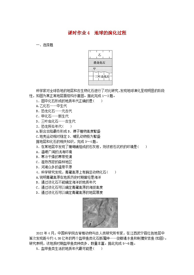 2024版新教材高中地理课时作业4地球的演化过程中图版必修第一册01