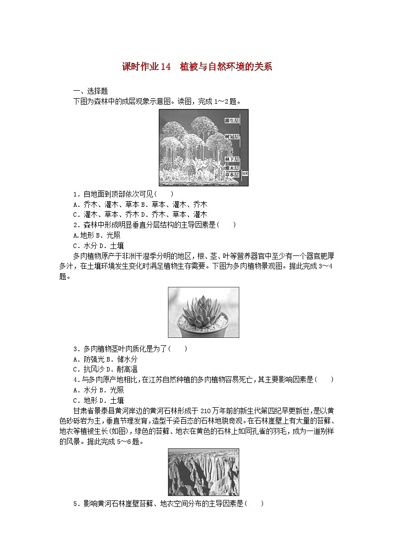 2024版新教材高中地理课时作业14植被与自然环境的关系中图版必修第一册第1页