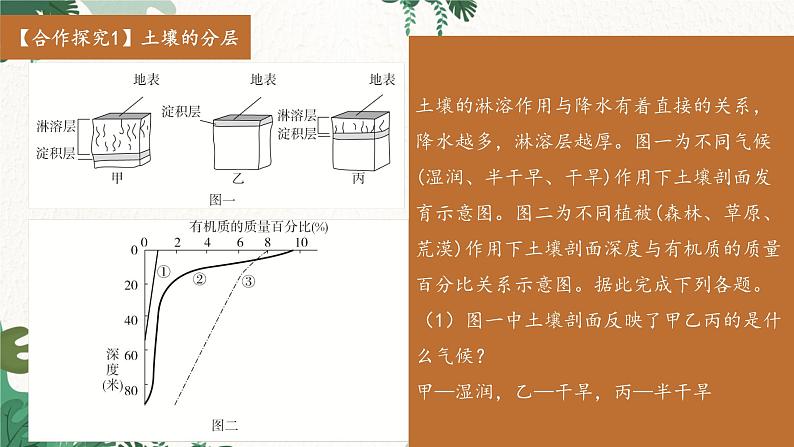 高中地理鲁教版（2019）必修一 3.4分析土壤形成的原因 课件08