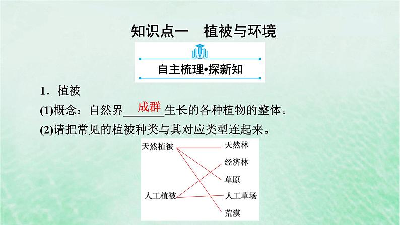 新教材适用2023_2024学年高中地理第5章植被与土壤第1节植被课件新人教版必修第一册07