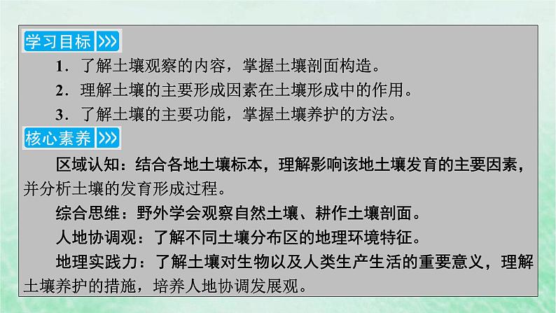 新教材适用2023_2024学年高中地理第5章植被与土壤第2节土壤课件新人教版必修第一册04