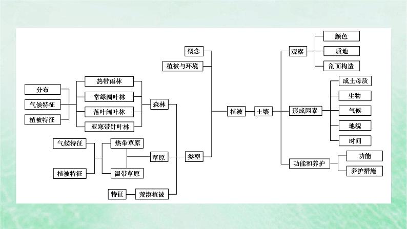 新教材适用2023_2024学年高中地理第5章植被与土壤本章整合提升课件新人教版必修第一册04