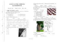 上海市金汇高级中学2023-2024学年高三上学期期中考试地理试卷