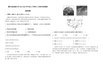 河南省漯河实验高级中学2023-2024学年高三上学期11月期中阶段测试地理试题（含解析）