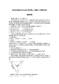 湖北省武汉市汉阳区2023-2024学年高二上学期11月期中考试地理试题（含答案）