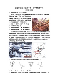 山东省泰安市新泰市2023-2024学年高一上学期期中考试地理试题（含答案）