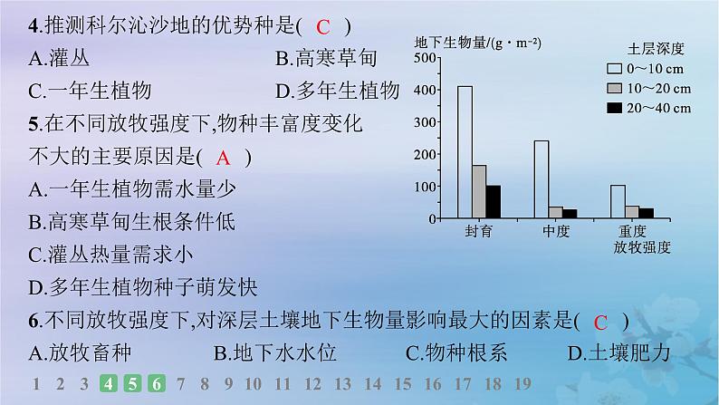 新教材2023_2024学年高中地理第2章区域发展第4节生态脆弱区的综合治理__以我国荒漠化地区为例分层作业课件湘教版选择性必修2第6页