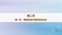 地理选择性必修3 资源、环境与国家安全第一节 耕地资源与国家粮食安全作业课件ppt