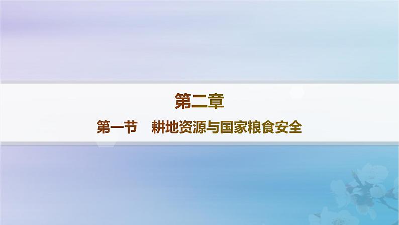 新教材2023_2024学年高中地理第2章自然资源与国家安全第1节耕地资源与国家粮食安全分层作业课件湘教版选择性必修301