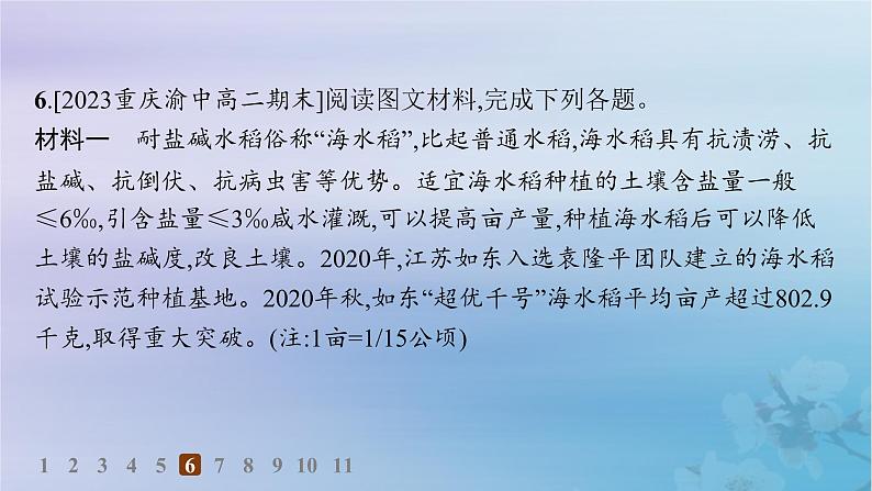 新教材2023_2024学年高中地理第2章自然资源与国家安全第1节耕地资源与国家粮食安全分层作业课件湘教版选择性必修307