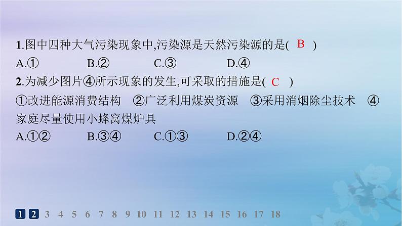 新教材2023_2024学年高中地理第1章自然环境与人类社会第3节环境问题及其危害分层作业课件新人教版选择性必修303