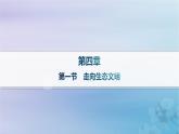 新教材2023_2024学年高中地理第4章保障国家安全的资源环境战略与行动第1节走向生态文明分层作业课件新人教版选择性必修3