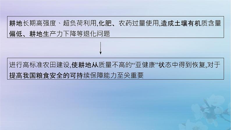 新教材2023_2024学年高中地理第2章资源安全与国家安全问题研究如何“藏粮于地”课件新人教版选择性必修3第5页