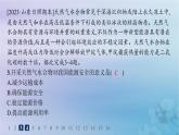 新教材2023_2024學(xué)年高中地理第1章自然環(huán)境與人類(lèi)社會(huì)素養(yǎng)綜合訓(xùn)練課件新人教版選擇性必修3