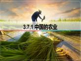 3.7.1 中国的农业-备战2024届高考区域地理精品课件