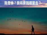 湘教版地理第一章《人口迁移》课件