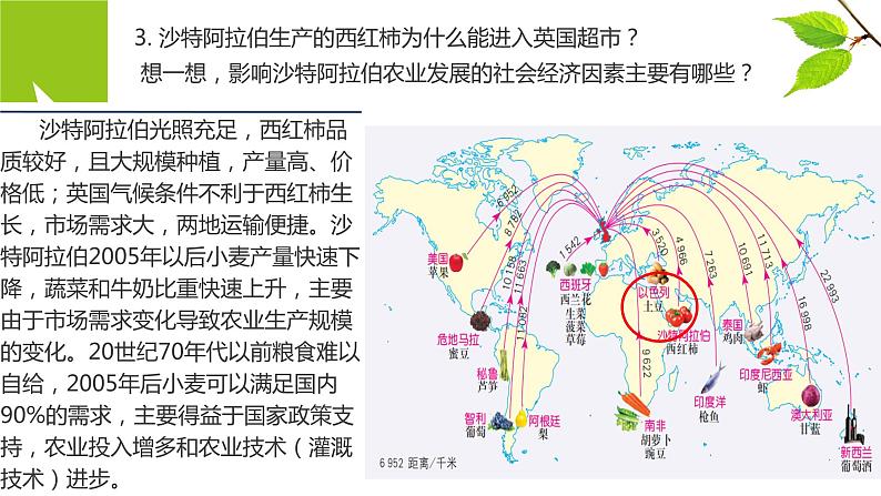 2023年高中地理湘教版必修二《3.1农业区位因素与农业布局 第二课时》课件06