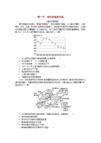 人教版 (2019)选择性必修2 区域发展第三章 城市、产业与区域发展第一节 城市的辐射功能课后作业题