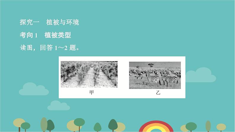 高一地理人教版（2019）必修第一册5.1植被课件第3页