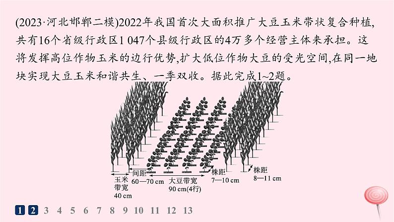 适用于新高考新教材2024版高考地理二轮复习专题突破练8产业区位与产业发展课件第2页