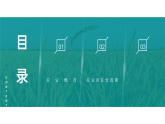 3.11农业区位因素（课件）-2023-2024学年高一地理第二学期同步精品课件（湘教版2019必修第二册）