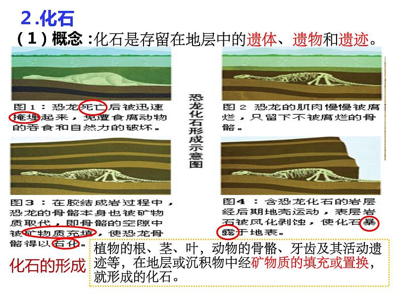 第二节 地球的形成与演化（课件）-2022-2023学年新教材高一地理鲁教版08