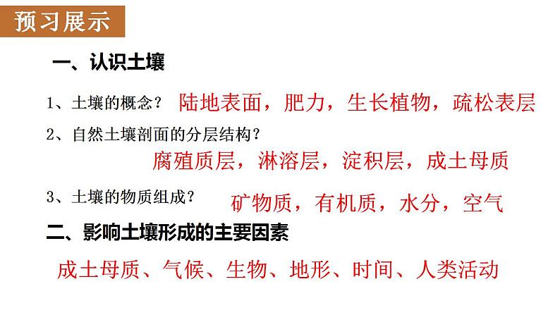 3.4分析土壤形成的原因2023-2024学年高中地理鲁教版（2019）必修一课件PPT03