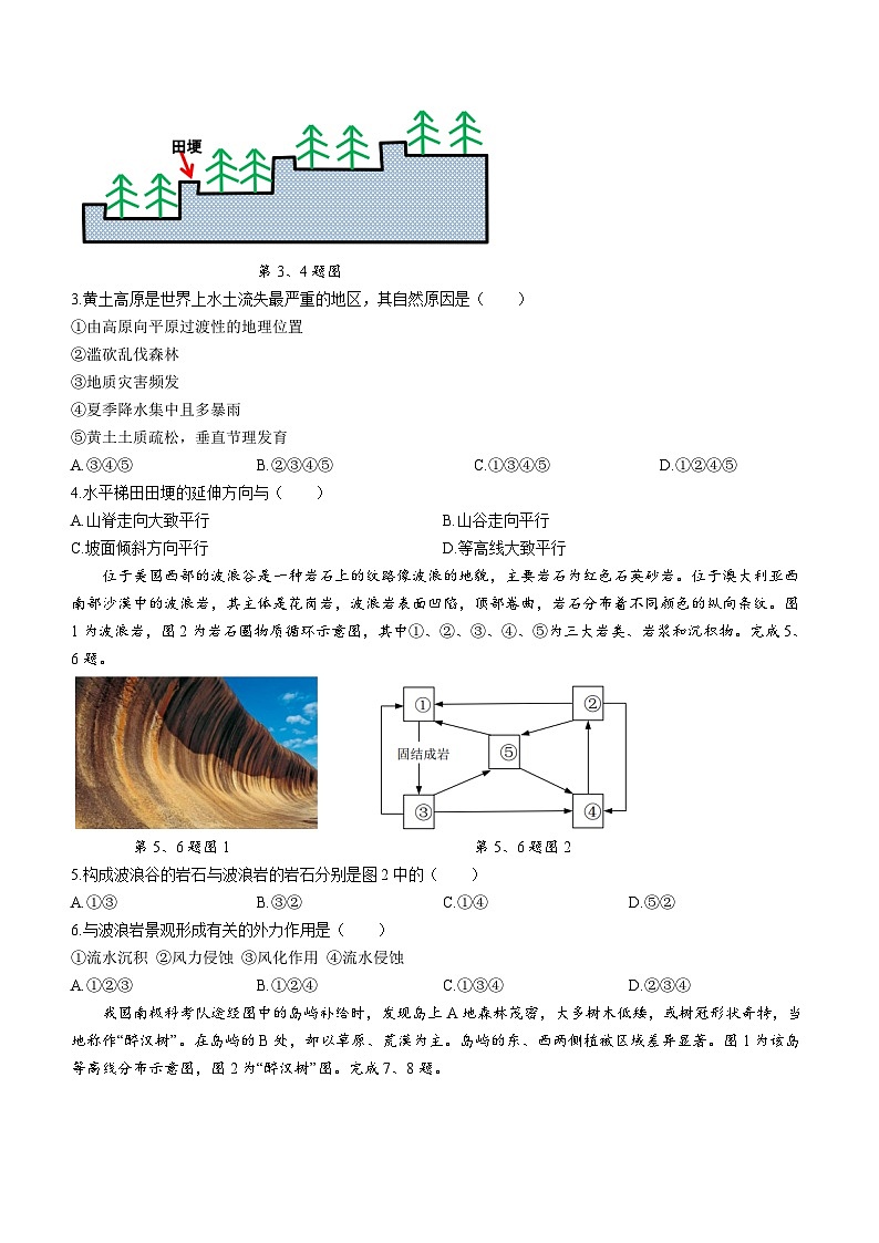 2024浙江省北斗星盟高二上学期12月阶段性联考试题地理含解析第2页
