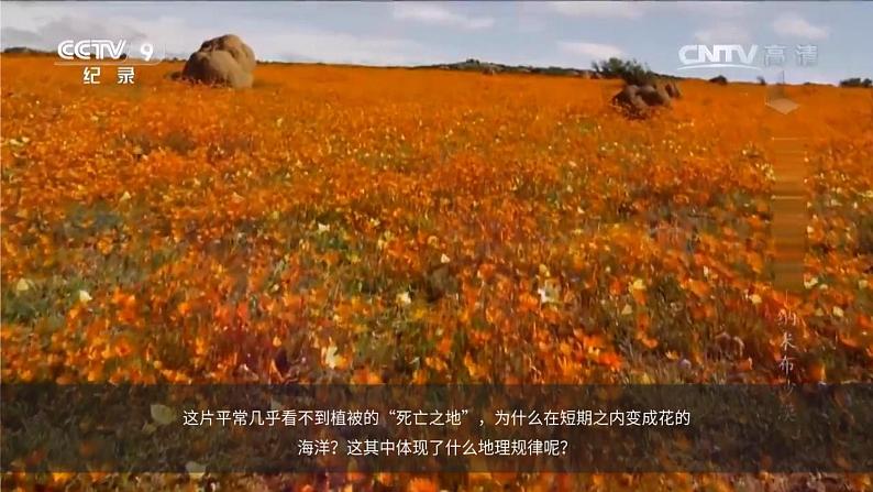 高中地理必修第一册《第一节 植被》ppt课件-统编人教版第1页