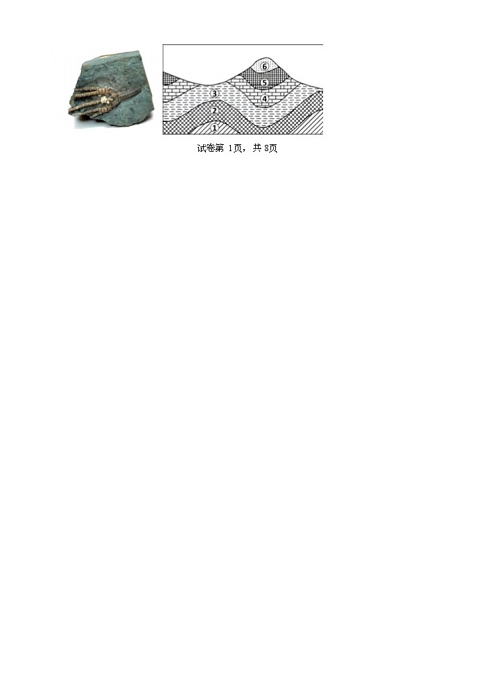 2024河南省郑州市外国语学校高一上学期12月月考地理试题第2页