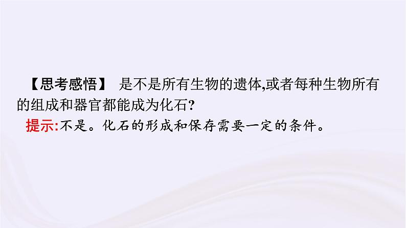 新教材适用2023_2024学年高中地理第1章宇宙中的地球第4节地球的演化课件湘教版必修第一册08