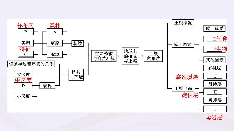 新教材适用2023_2024学年高中地理第5章地球上的植被与土壤本章整合课件湘教版必修第一册第4页