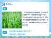 【新教材新課標(biāo)】2.3 《中國的耕地資源與糧食安全》課件 人教版高中地理選修三