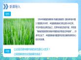 【新教材新课标】2.3 《中国的耕地资源与粮食安全》课件 人教版高中地理选修三
