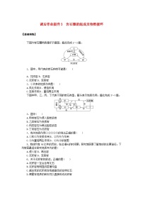 高中地理鲁教版 (2019)选择性必修1 自然地理基础第一节 岩石圈的组成及物质循环综合训练题