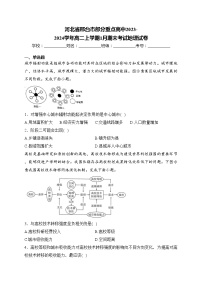 河北省邢台市部分重点高中2023-2024学年高二上学期1月期末考试地理试卷(含答案)