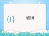 湘教版高中地理选修三 3.1《碳排放与国际减排合作》课件