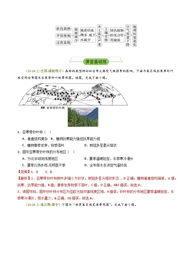 湘教版高中地理选修二5.1 《主要植被与自然环境》课件+分层练习（原卷+解析卷）02