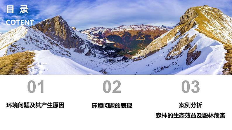 5.1 《人类面临的主要环境问题》教学课件03