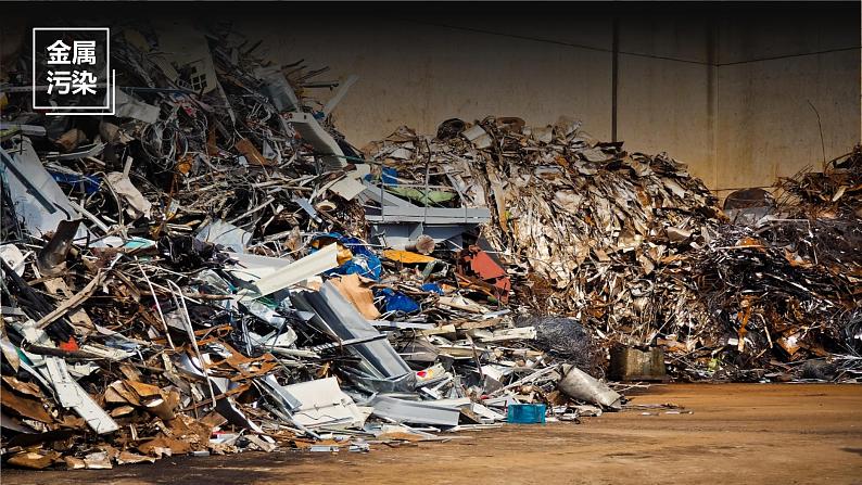 5.1 《人类面临的主要环境问题》教学课件08